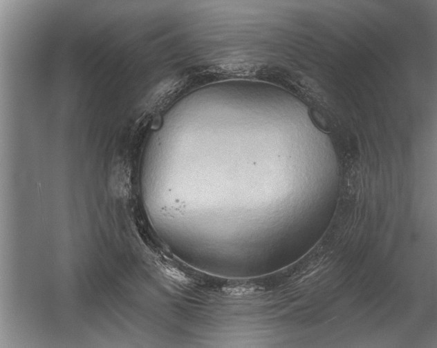 X0000060560693200511070948