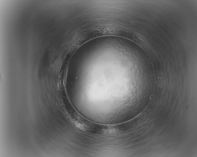 X0000060560695200511070948