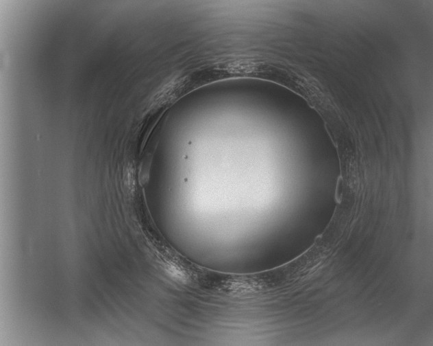 X0000060560697200511070948