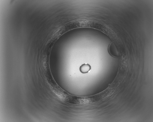 X0000060560698200511070948