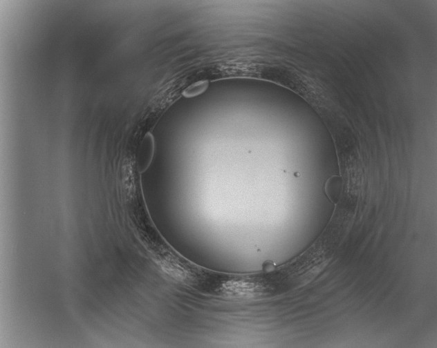 X0000060560699200511070948