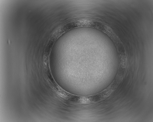 X0000060560701200511070948