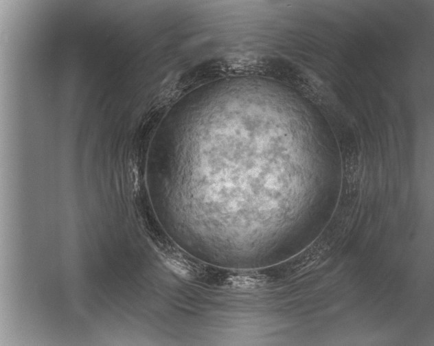 X0000060560703200511070948