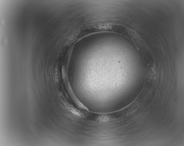 X0000060560704200511070948