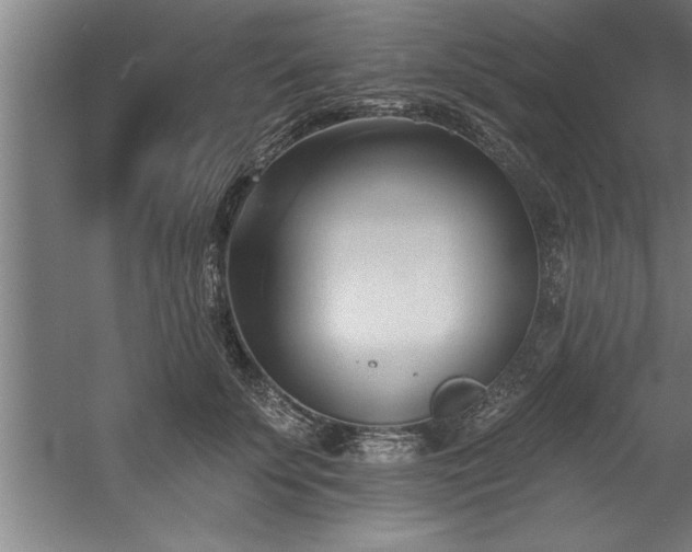 X0000060560707200511070948