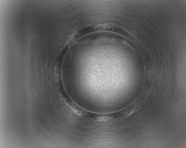 X0000060560708200511070948