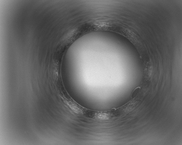 X0000060560710200511070948