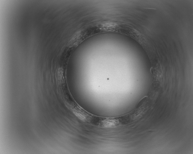 X0000060560711200511070948