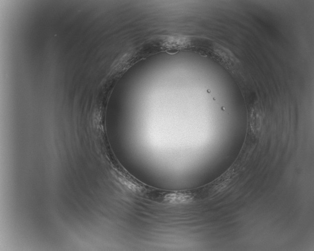 X0000060560714200511070947