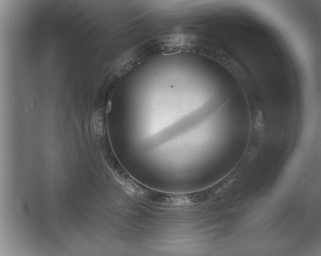 X0000060560715200511070947