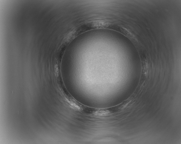 X0000060560716200511070947