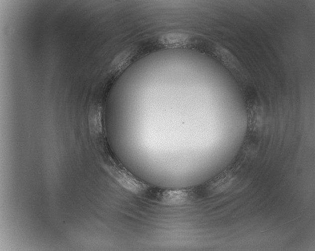 X0000060560717200511070947