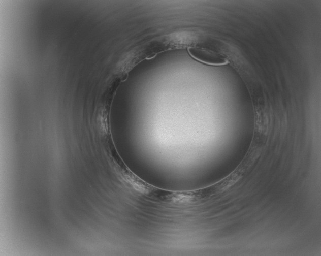 X0000060560718200511070947