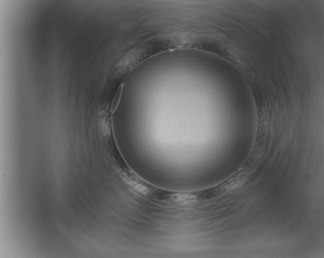 X0000060560719200511070947