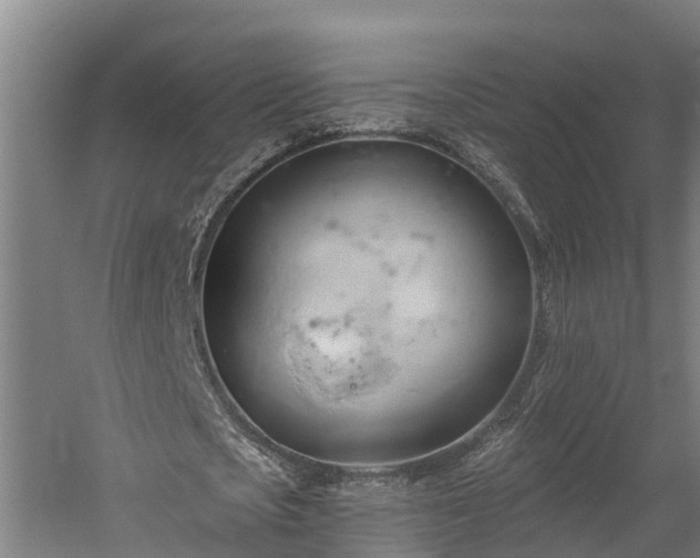 X0000060560721200511070947