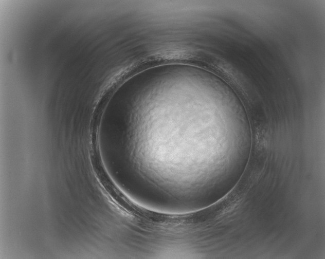 X0000060560725200511070947