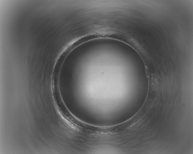 X0000060560726200511070947