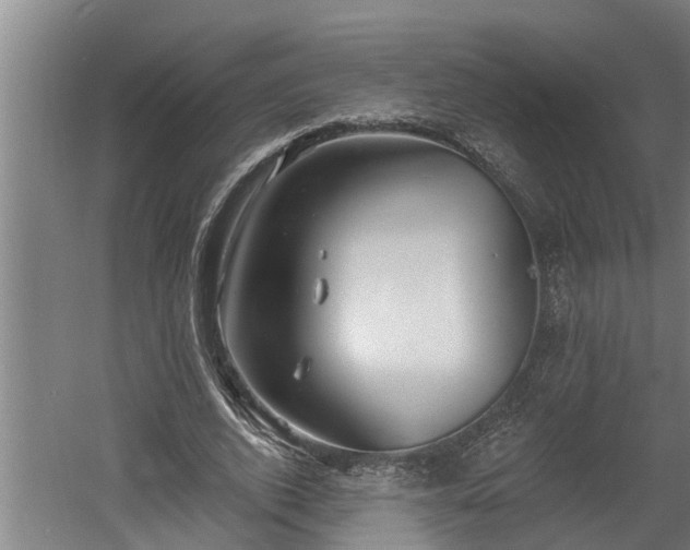 X0000060560728200511070947