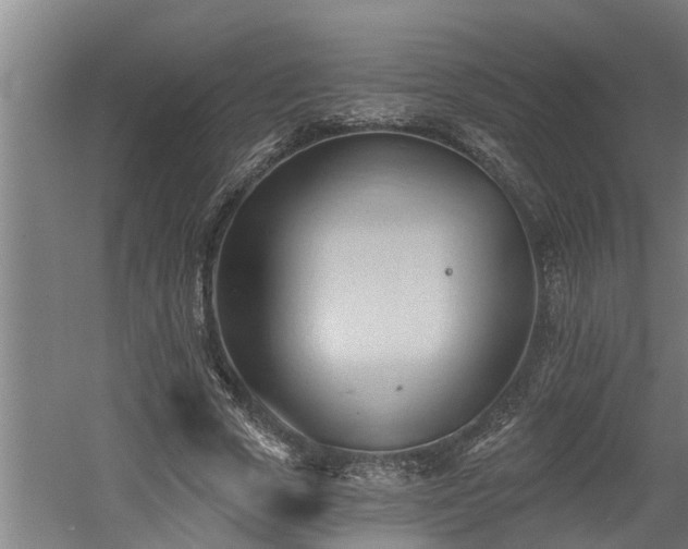 X0000060560729200511070947