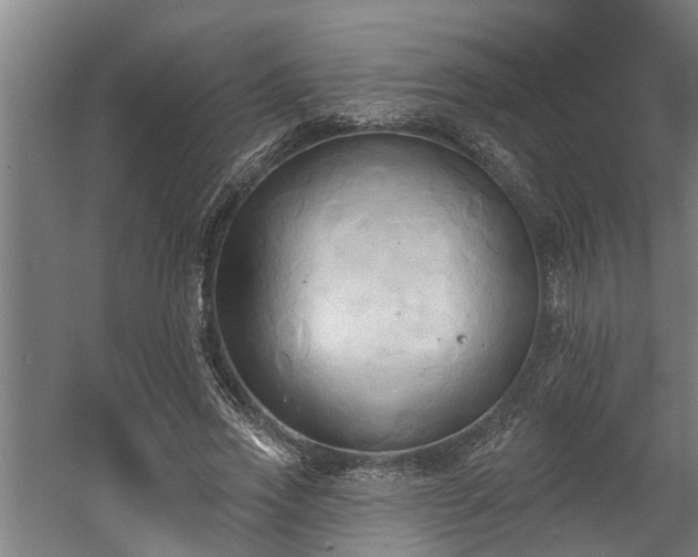 X0000060560733200511070947