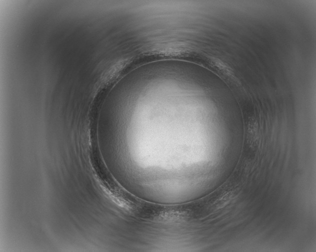 X0000060560734200511070947