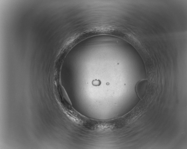 X0000060560736200511070947