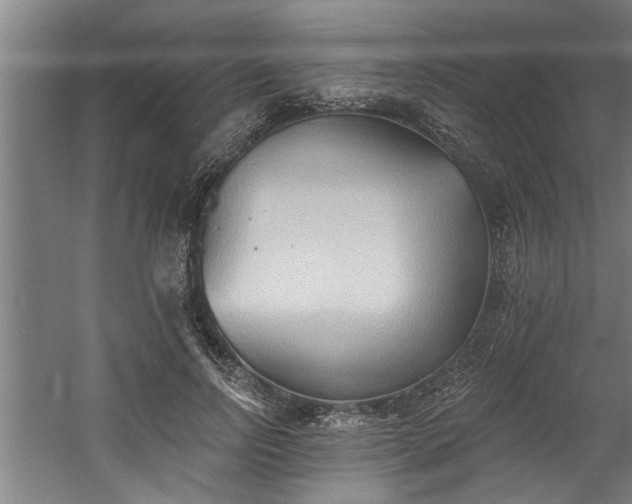 X0000060560742200511070947