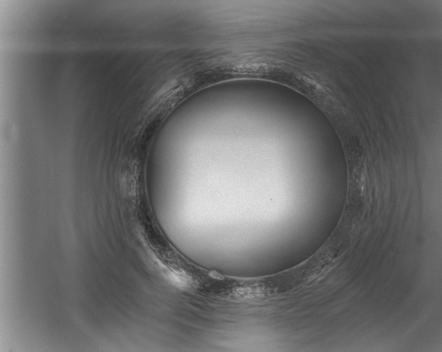 X0000060560744200511070947