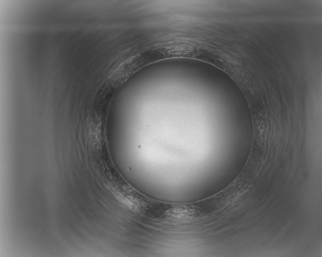 X0000060560745200511070947