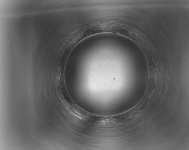 X0000060560752200511070947