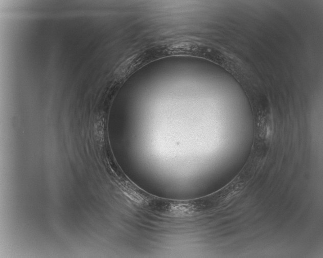 X0000060560753200511070947