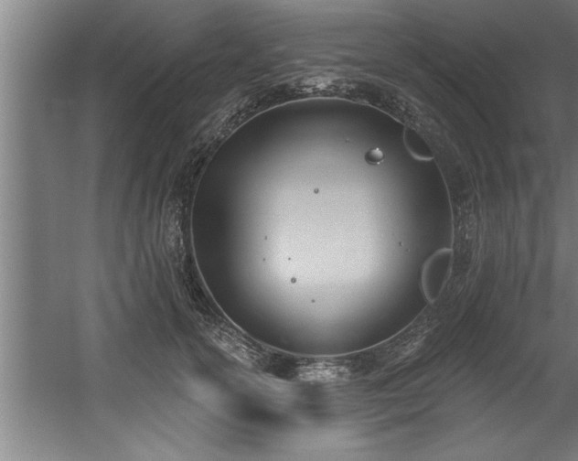 X0000060560754200511070947