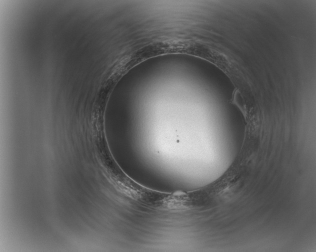 X0000060560756200511070947