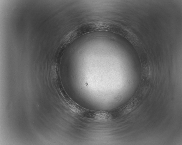 X0000060560757200511070947