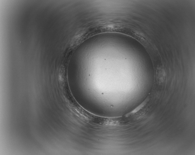 X0000060560760200511070947