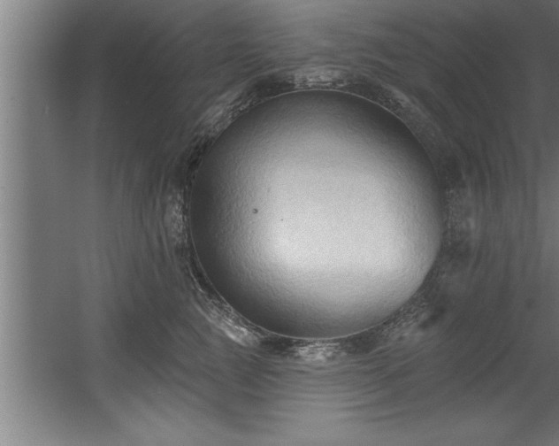 X0000060560761200511070947