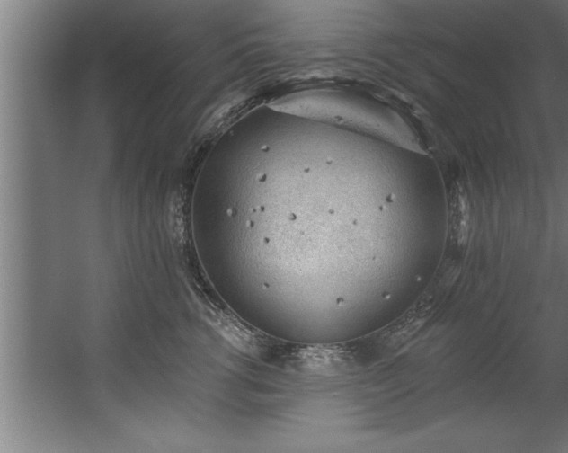 X0000060560762200511070947