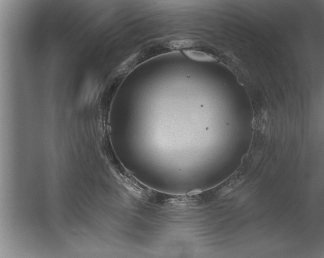 X0000060560763200511070947