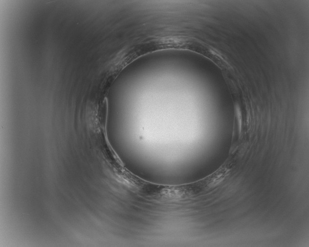 X0000060560764200511070947