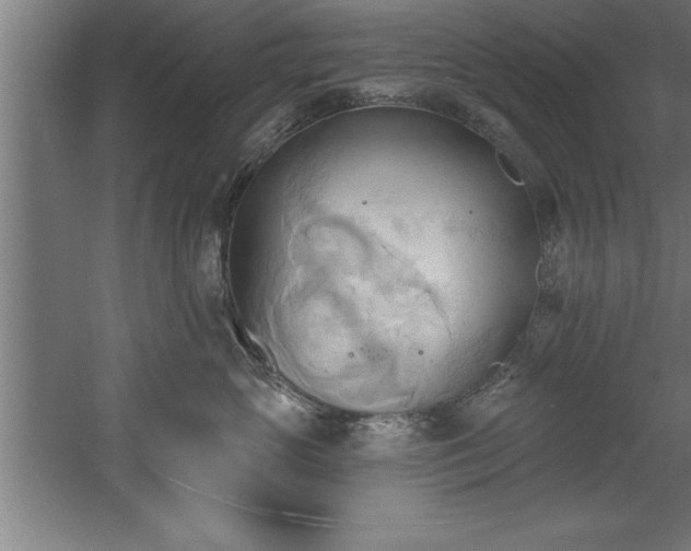 X0000060560765200511070947