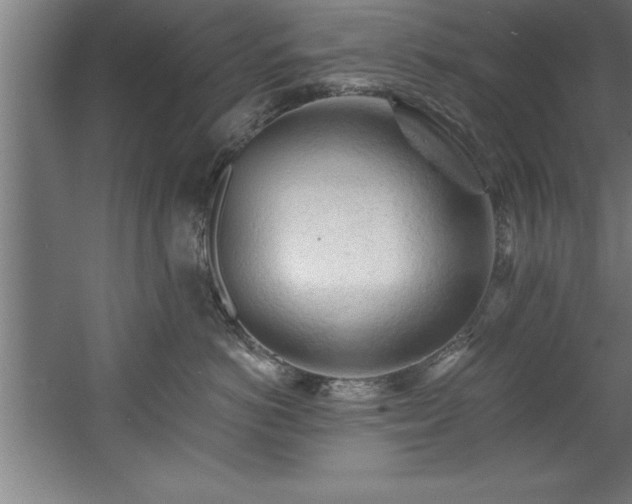 X0000060560766200511070947