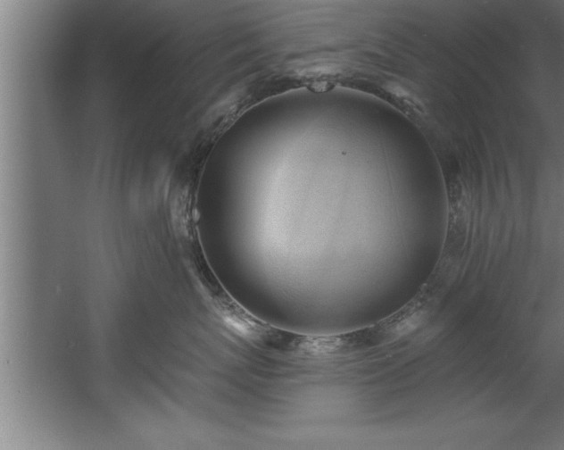 X0000060560767200511070947