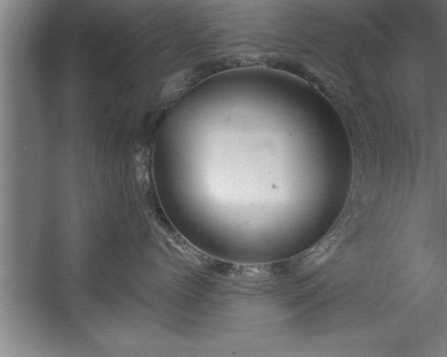 X0000060560768200511070947