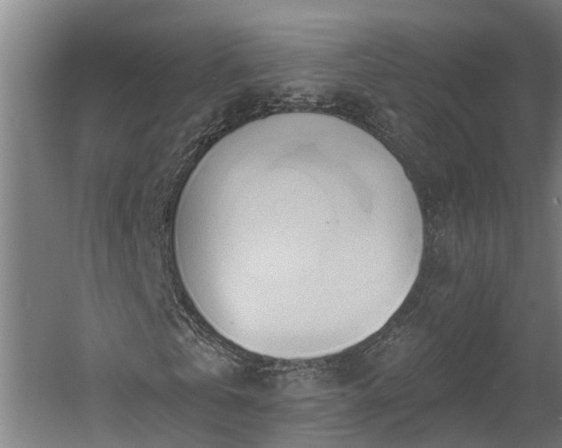 X0000060560769200511070947