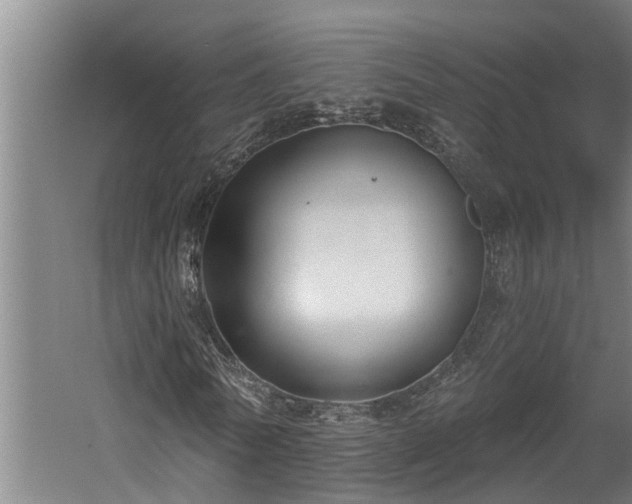 X0000060560770200511070947