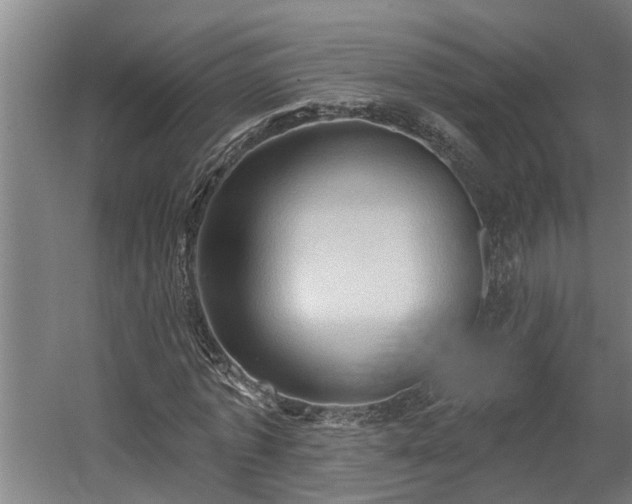 X0000060560773200511070946