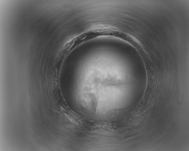 X0000060560775200511070946