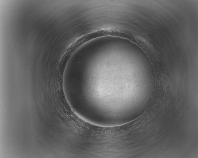 X0000060560776200511070946