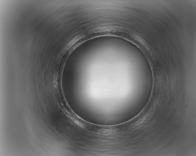 X0000060560778200511070946