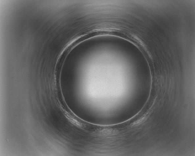 X0000060560779200511070946